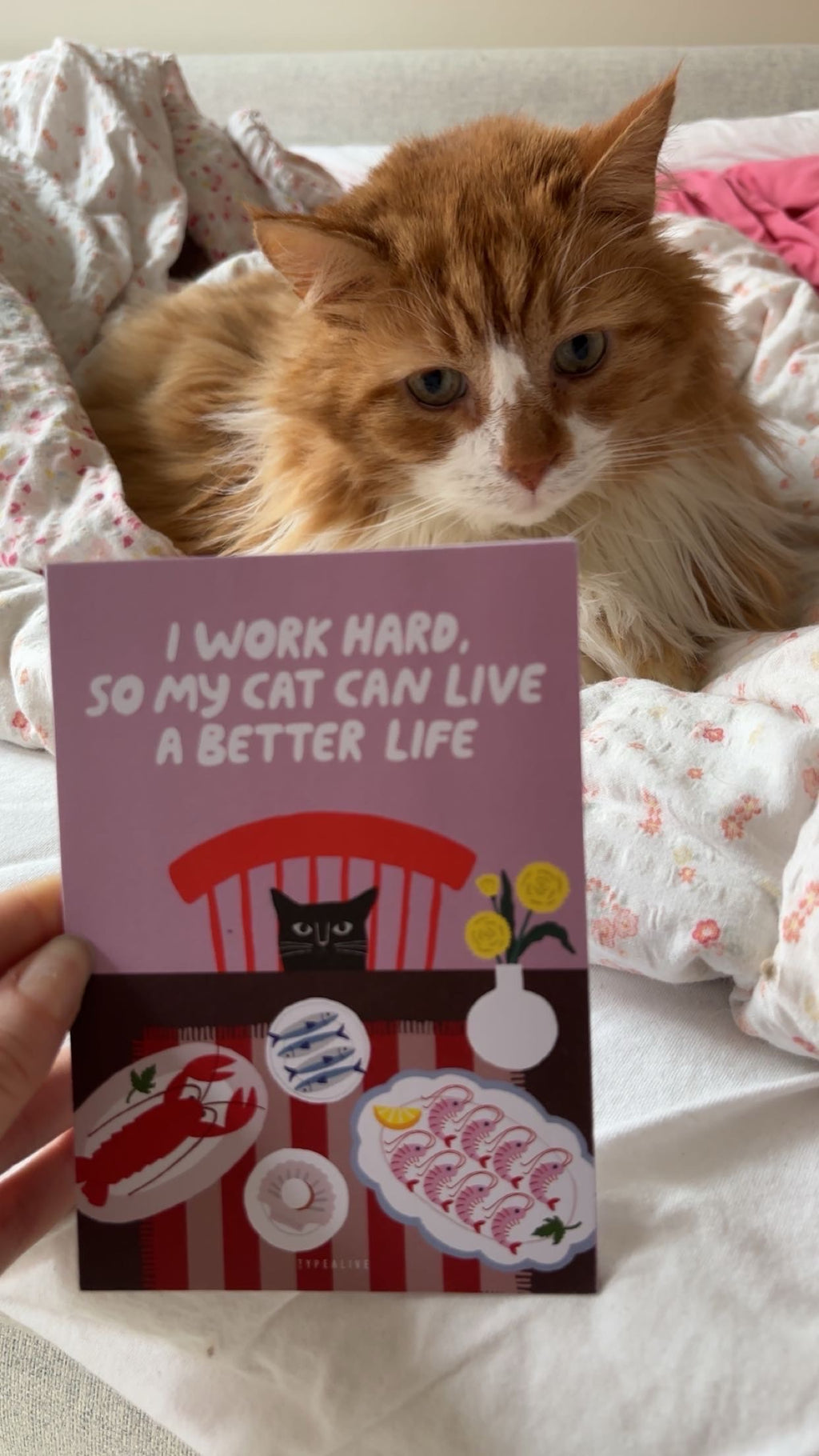 Kort "Cats Better Life No. 2"